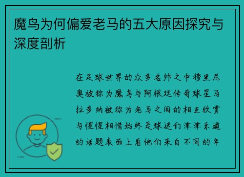 魔鸟为何偏爱老马的五大原因探究与深度剖析